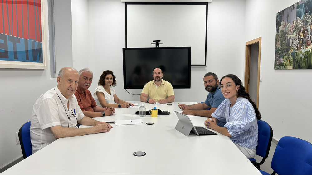 Alegaciones Manises Plan Ruido Aeropuerto